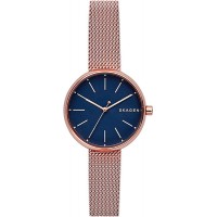 Наручные часы Skagen SKW2593 Наручные часы Skagen SKW2593