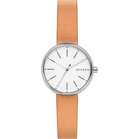 Наручные часы Skagen SKW2594