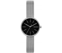 Наручные часы Skagen SKW2596