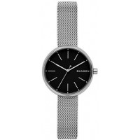 Наручные часы Skagen SKW2596