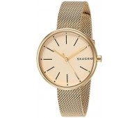 Наручные часы Skagen SKW2614