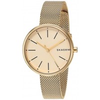 Наручные часы Skagen SKW2614