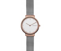 Наручные часы Skagen SKW2616