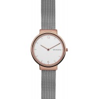 Наручные часы Skagen SKW2616