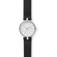 Наручные часы Skagen SKW2639