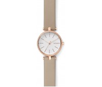 Наручные часы Skagen SKW2643