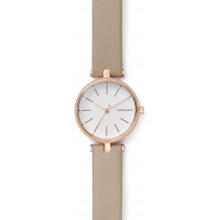 Наручные часы Skagen SKW2643 Наручные часы Skagen SKW2643
