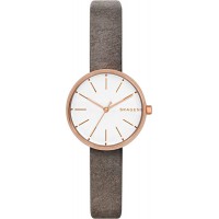 Наручные часы Skagen SKW2644