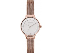 Наручные часы Skagen SKW2650