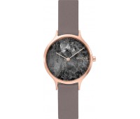 Наручные часы Skagen SKW2672