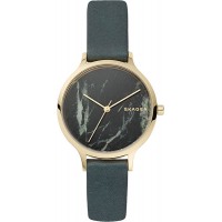 Наручные часы Skagen SKW2720