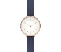 Наручные часы Skagen SKW2723