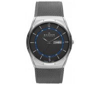 Наручные часы Skagen SKW6078