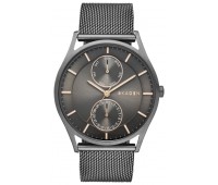 Наручные часы Skagen SKW6180