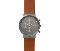 Наручные часы Skagen SKW6418