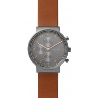 Наручные часы Skagen SKW6418