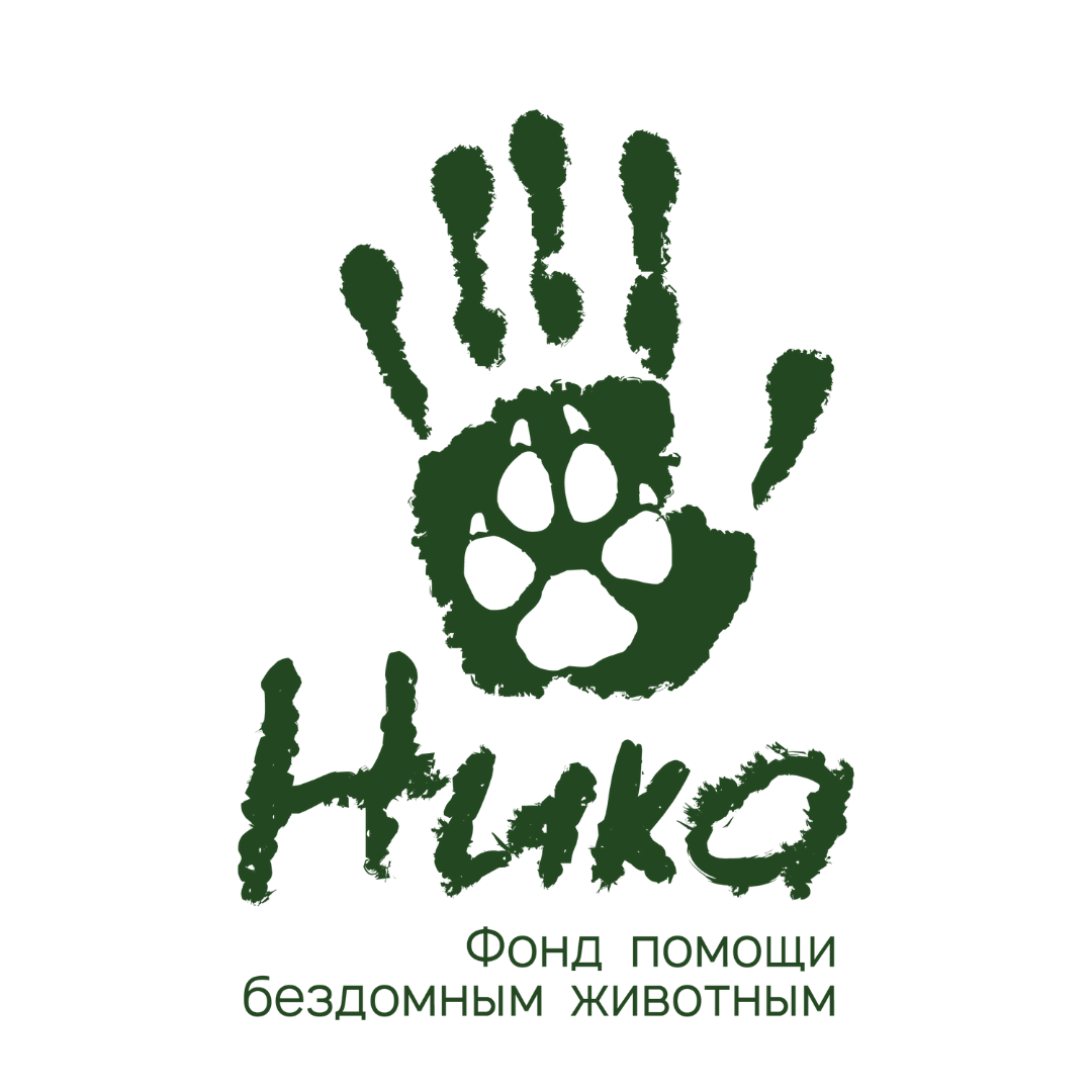 Фонд НИКА